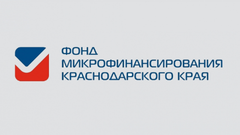 Виды и условия микрозаймов для НПД