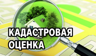 О проведении государственной кадастровой оценки объектов недвижимости на территории Краснодарского края в 2021 году