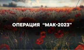 В Новокубанском районе проводится оперативно-профилактическая операция «Мак-2023»