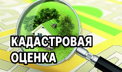 О проведении государственной кадастровой оценки земельных участков на территории Краснодарского края в 2022 году